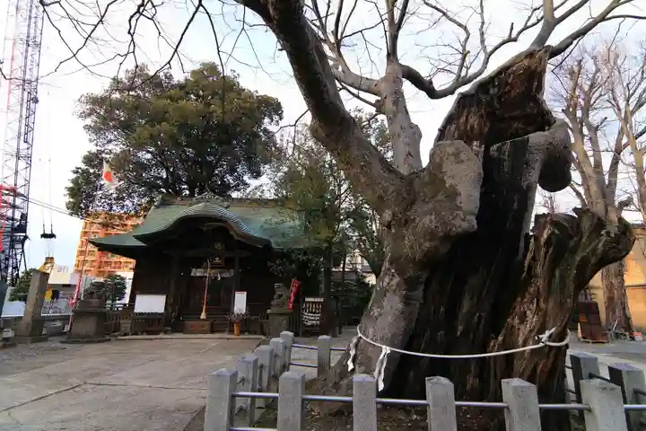 阿邪訶根神社の本殿・本堂