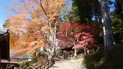 温泉寺(岐阜県)