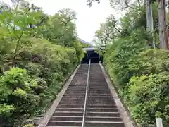 光明寺（粟生光明寺）(京都府)