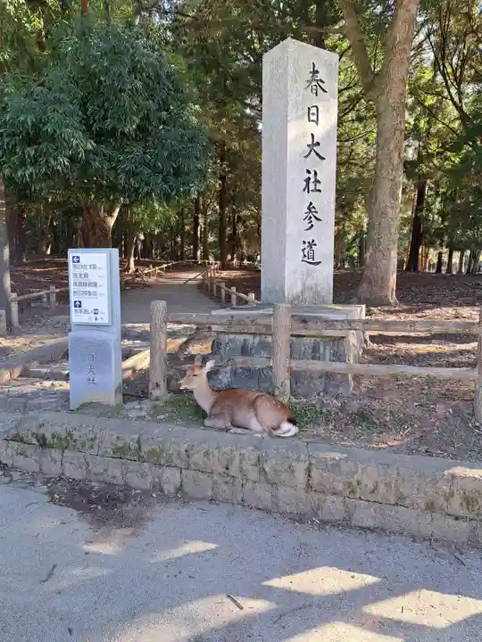 春日大社(奈良県)
