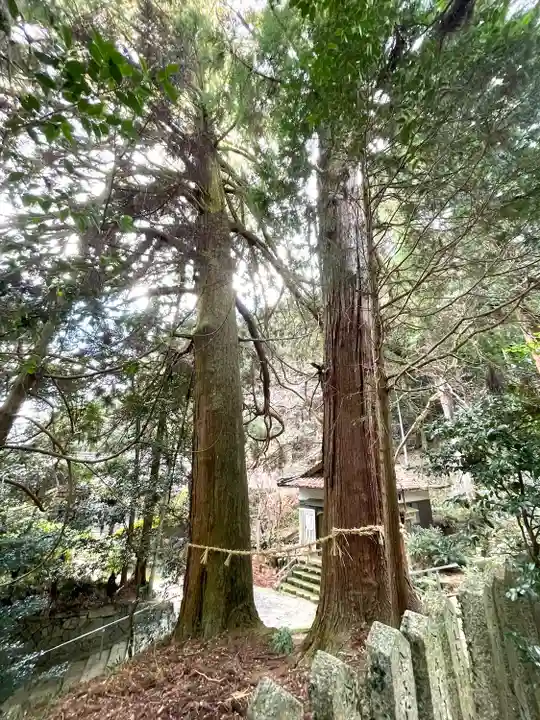 高倉神社の自然