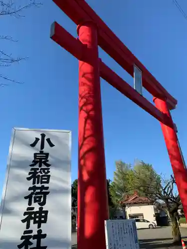 小泉稲荷神社の鳥居