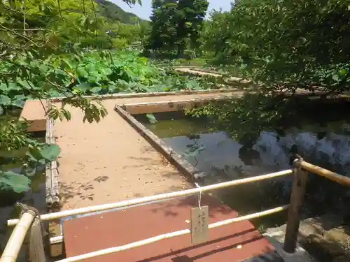 鶴岡八幡宮の庭園
