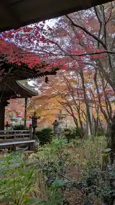 柳谷観音　楊谷寺(京都府)