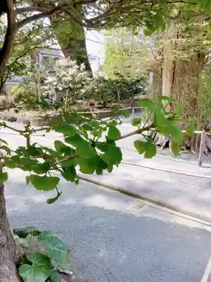 實相山　正法院(静岡県)