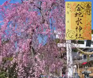 金蛇水神社の御朱印 2024年04月01日(月)〜(2024年04月01日(月) 10時38分37秒投稿)