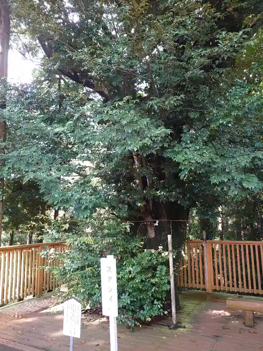 神明神社(相差町)(三重県)