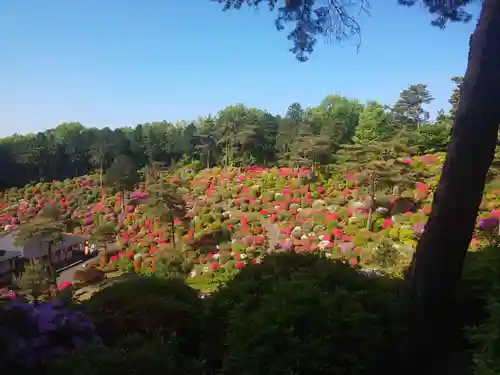 塩船観音寺の景色