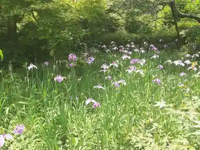 光則寺(神奈川県)