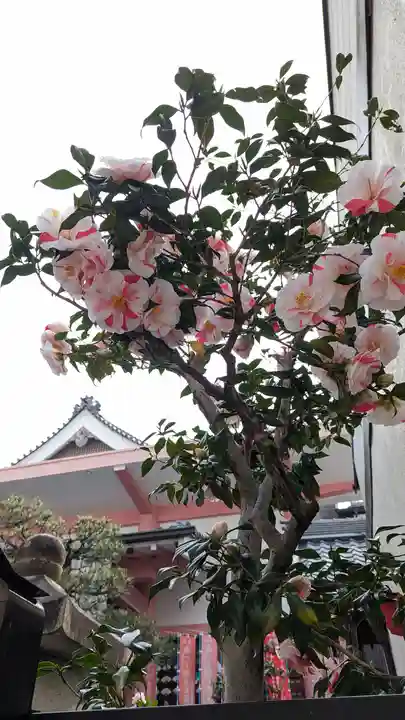 誓願寺(京都府)