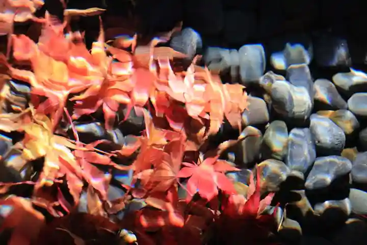 萬寿神社の自然