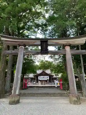 土佐神社(高知県)