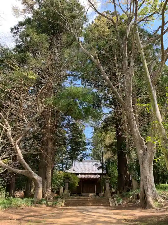 日枝神社の本殿・本堂