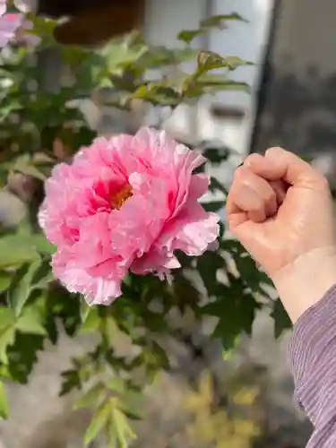 梅香寺(三重県)