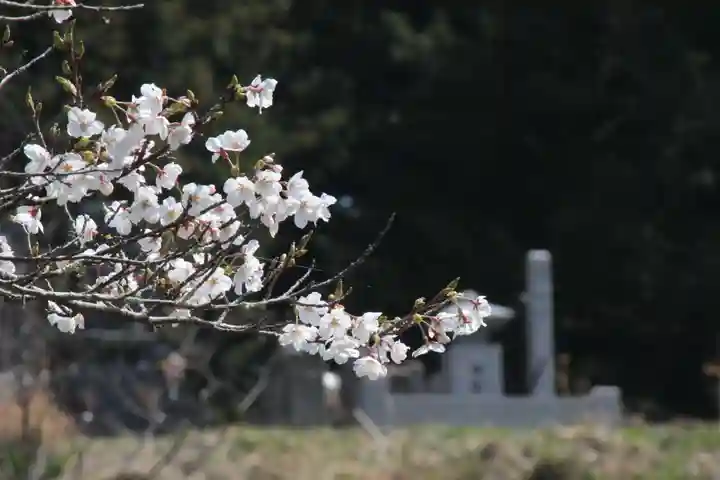 国宝 大法寺(長野県)