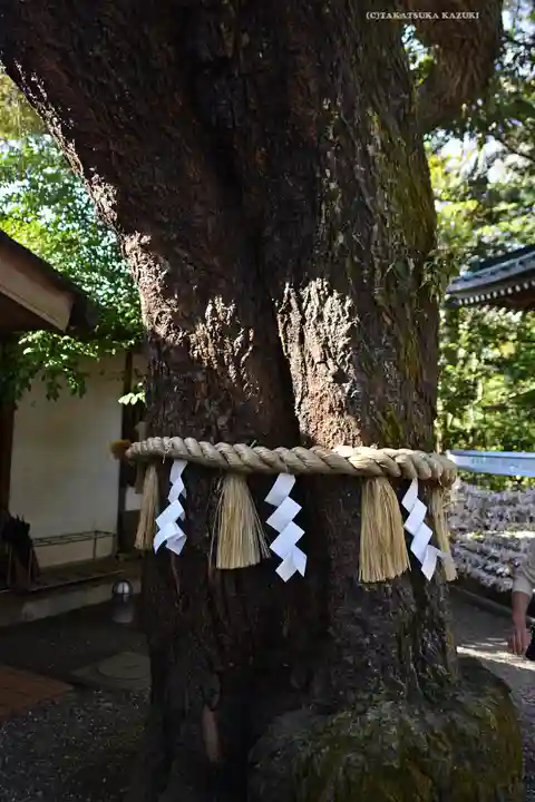 座間神社(神奈川県)