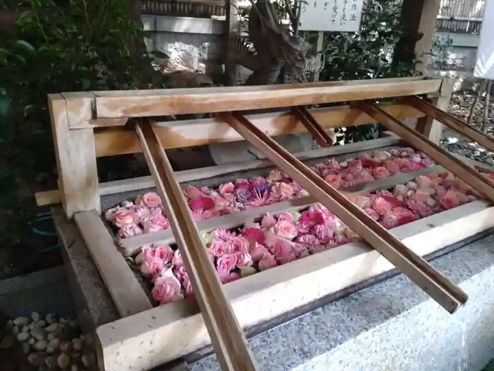 東京大神宮の手水舎