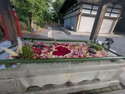 住吉神社(北海道)