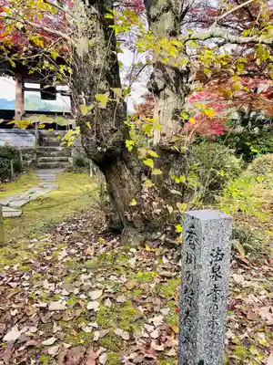 法泉寺の自然