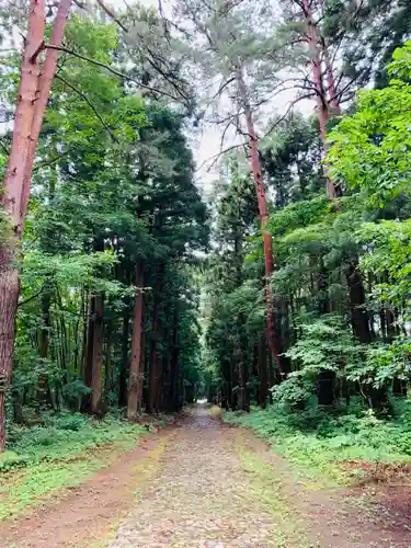 土津神社｜こどもと出世の神さまの自然