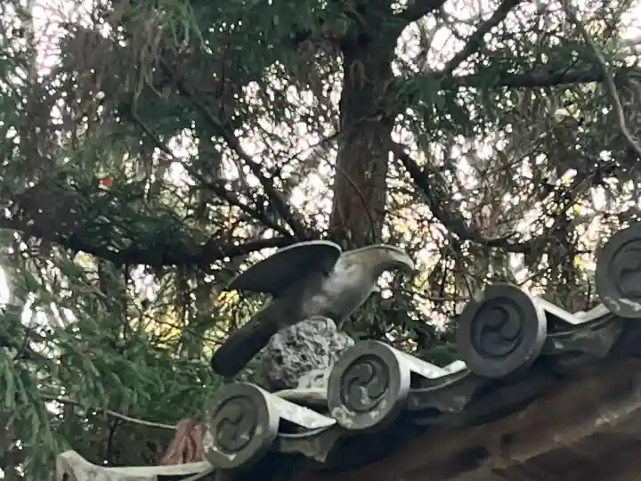 小竹八幡神社の{uncategorized: "未分類", other: "その他", undefined: "問題あり", building: "その他建物", grave: "お墓", sacred_gate: "鳥居", guardian: "狛犬", statue: "像", buddha: "仏像", history: "歴史", nature: "自然", garden: "庭園", animal: "動物", pagoda: "塔", temizu: "手水舎", mountain_gate: "山門・神門", sanctuary: "本殿・本堂", subordinate: "末社・摂社", art: "芸術", scenery: "景色", jizo: "地蔵", ema: "絵馬", goshuin: "御朱印", omikuji: "おみくじ", items: "授与品その他", amulet: "お守り", goshuincho: "御朱印帳", eats: "食事", festival: "お祭り", votive_dance: "神楽", shichigosan: "七五三参", wedding: "結婚式", experience: "体験その他", initially: "初詣", around: "周辺", anti_infection: "感染症対策"}