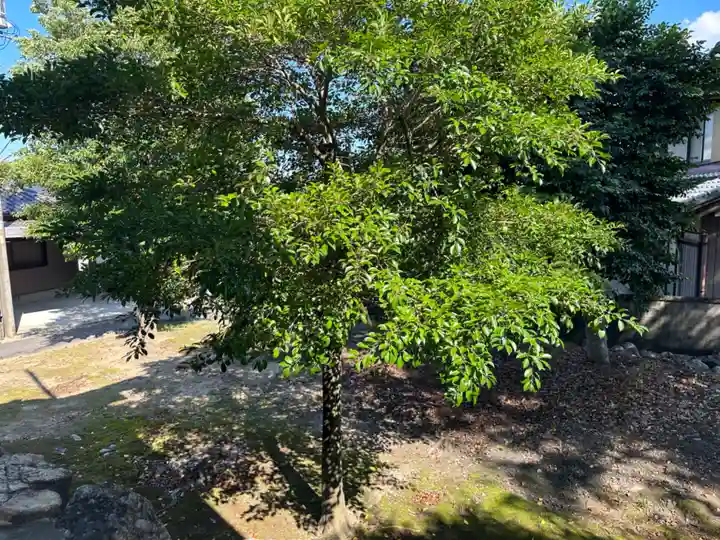 阿具麻神社の自然