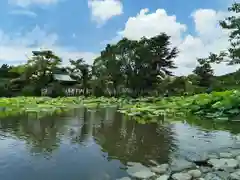 鶴岡八幡宮の庭園