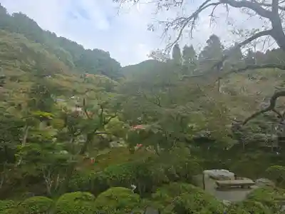 醍醐寺(京都府)