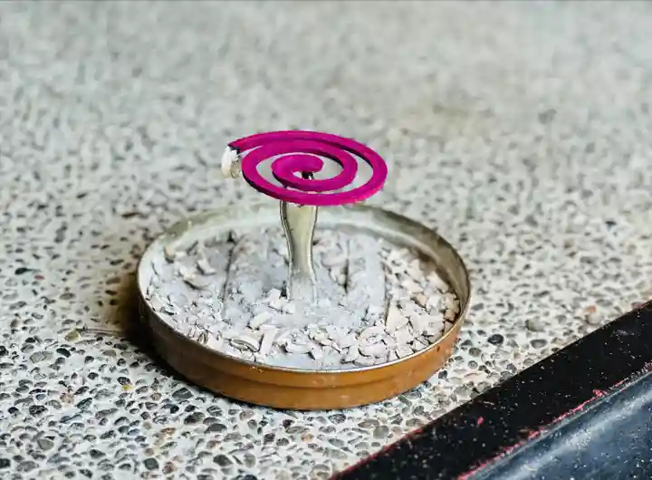 福井神社(福井県)