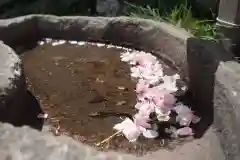 甲斐奈神社の手水