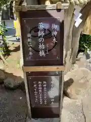 伊古奈比咩命神社の建物その他