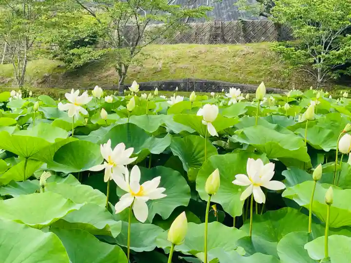 心光寺(三重県)