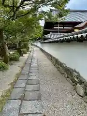 金剛寺(大阪府)