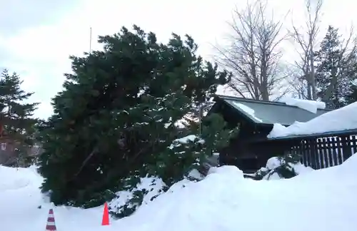 多賀神社の周辺