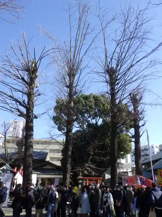 田無神社の自然