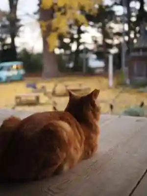 天王山 安楽寺の動物