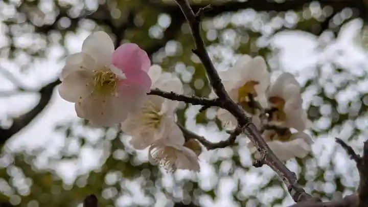 智積院(京都府)