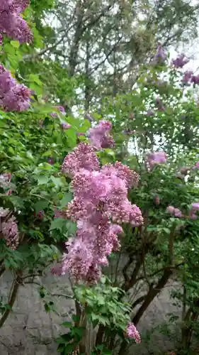 相馬神社(北海道)