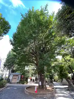 鳩森八幡神社(東京都)