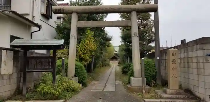 諏訪神社の鳥居