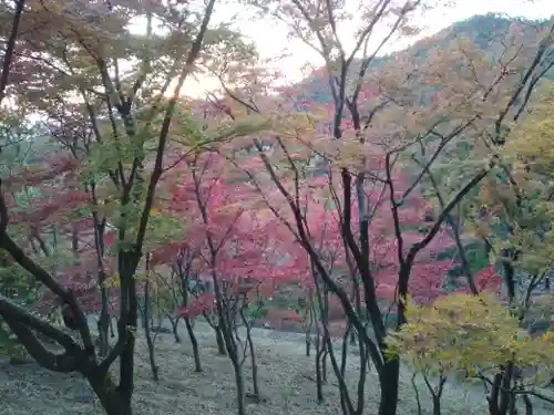 足利織姫神社(栃木県)