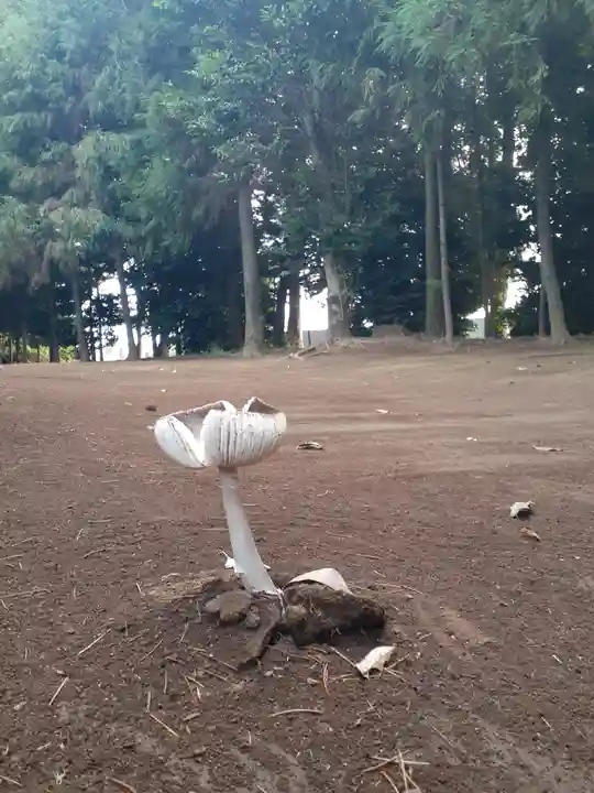 伏木香取神社(茨城県)