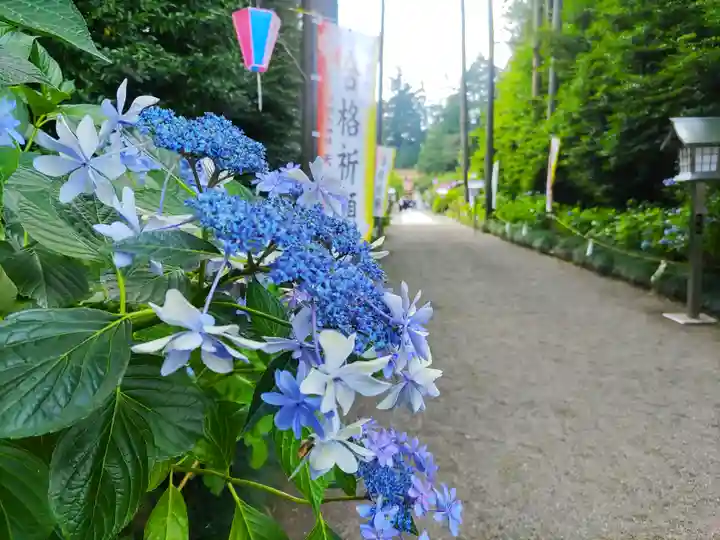 芳賀天満宮(栃木県)