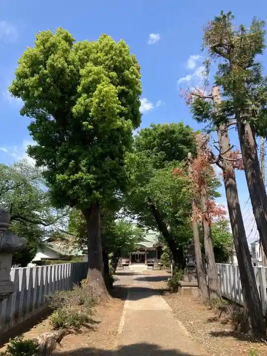 赤塚氷川神社の{uncategorized: "未分類", other: "その他", undefined: "問題あり", building: "その他建物", grave: "お墓", sacred_gate: "鳥居", guardian: "狛犬", statue: "像", buddha: "仏像", history: "歴史", nature: "自然", garden: "庭園", animal: "動物", pagoda: "塔", temizu: "手水舎", mountain_gate: "山門・神門", sanctuary: "本殿・本堂", subordinate: "末社・摂社", art: "芸術", scenery: "景色", jizo: "地蔵", ema: "絵馬", goshuin: "御朱印", omikuji: "おみくじ", items: "授与品その他", amulet: "お守り", goshuincho: "御朱印帳", eats: "食事", festival: "お祭り", votive_dance: "神楽", shichigosan: "七五三参", wedding: "結婚式", experience: "体験その他", initially: "初詣", around: "周辺", anti_infection: "感染症対策"}