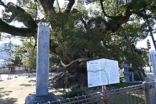 善通寺(香川県)