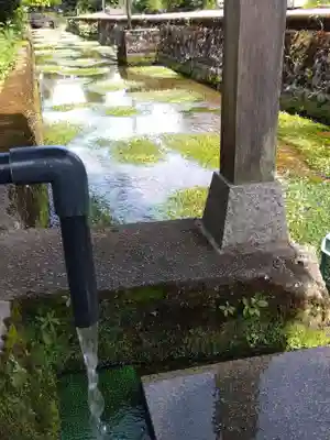 小烏神社(福井県)