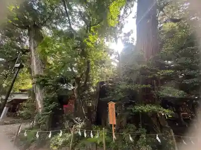 香取神宮(千葉県)
