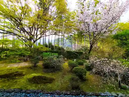 宝泉院(京都府)