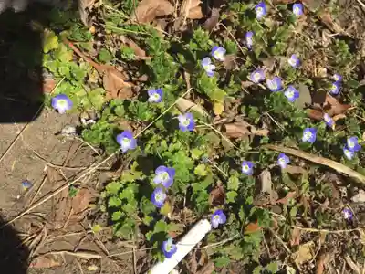 浄妙寺(神奈川県)