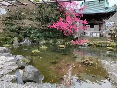 西新井大師総持寺の庭園